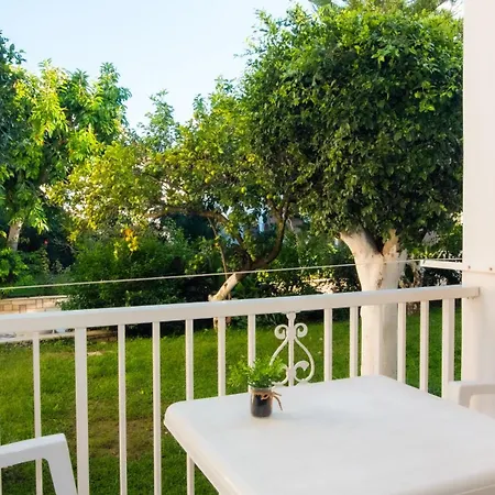 Olga - 3 Tsilivi (Zakynthos)